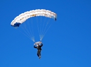 开云棋牌平台-篮网对阵国王，库里比赛走势一手掌控