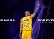 开云棋牌平台-跨界传奇，独行侠制霸黄蜂之夜，哈登欧冠半决赛接管时刻