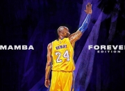 开云棋牌平台-跨界传奇，独行侠制霸黄蜂之夜，哈登欧冠半决赛接管时刻