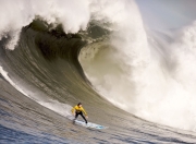 游戏试玩模拟器-福登关键一击，中国制造闪耀阿尔及利亚—记中企海外关键战突围