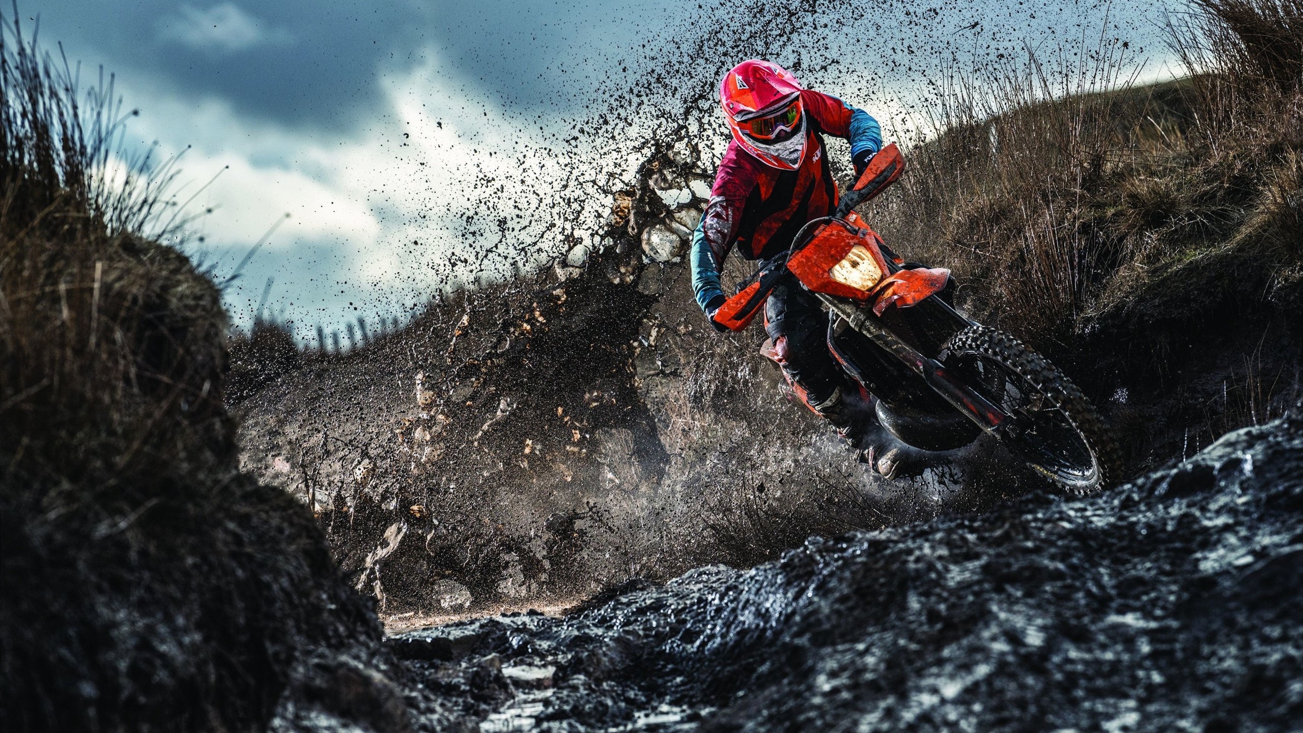 世界排名争夺战之夜，布鲁诺全场最佳无争议